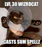 Lolcats Wizard Cat GIF
