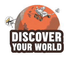 Guinness World Records Sticker