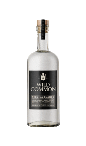 Wild_Common Sticker