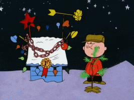 Charlie Brown Thanksgiving Eve GIF by Peanuts