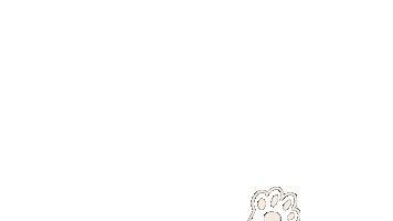 Cat Kitty Sticker