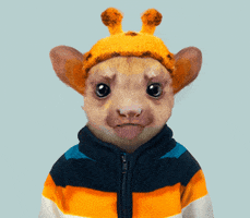 Baby Animal GIF