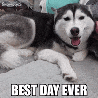 Happy Best Day Ever GIF by Gone to the Snow Dogs Happy Best Day Ever GIF by Gone to the Snow Dogs