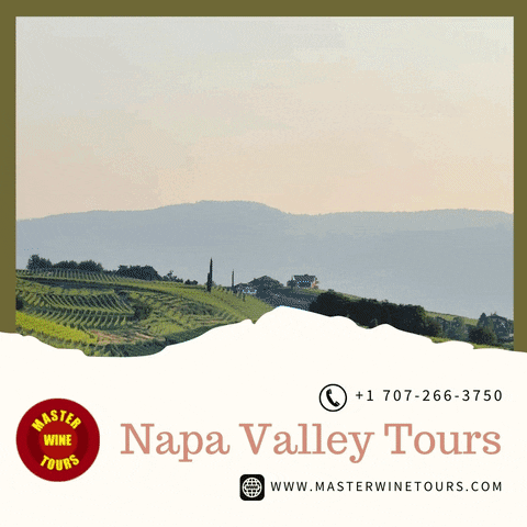 Napa Valley Tours GIF