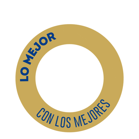Lo Mejor Salud Sticker by Cerveza Santa Cruz 1906
