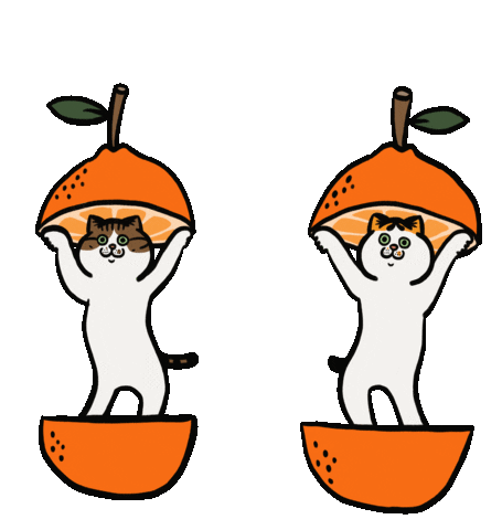 Cat Sticker