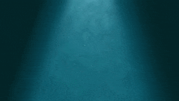 Funny GIF by SaveMyBacon