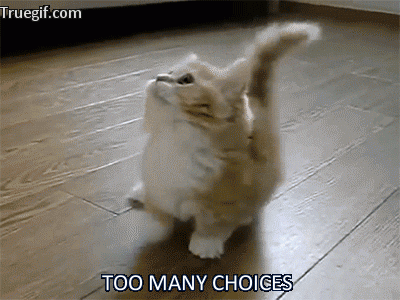 Overwhelmed Choices GIF - Find & Share on GIPHY