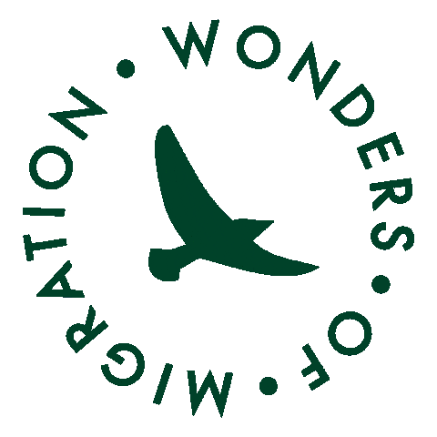 Sticker by SWAROVSKI OPTIK