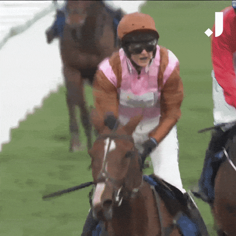 Happy Horse Racing GIF by The Jockey Club