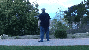 Reaction GIF