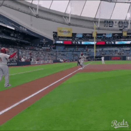 Home Run Celebration GIF by Cincinnati Reds