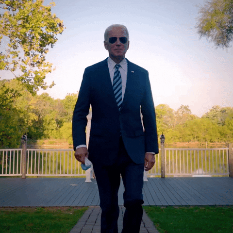 Election 2020 Hello GIF by Joe Biden - Find & Share on GIPHY