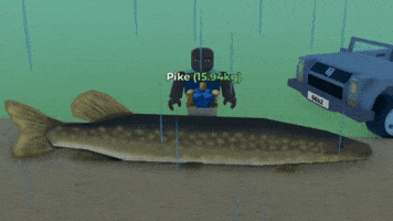 Fih GIF