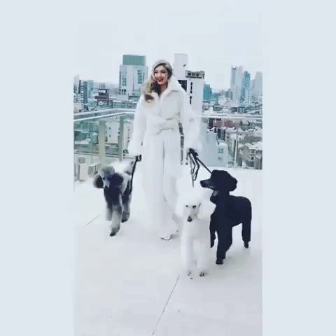Gigi Hadid GIF