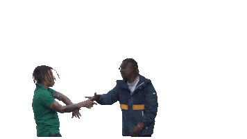 Polima Westcoast Sticker by Tierra de Fuego