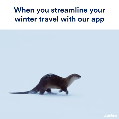 travel winter GIF by trainline