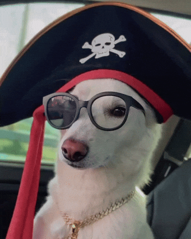 Jindo GIF