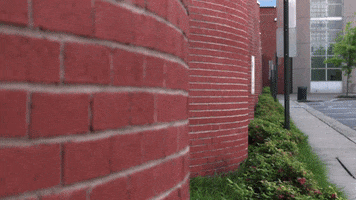 200.gif?cid=fc005b089976cc765ba357c1ad8c5f6beb883f4f9550bfa0&rid=200.gif&ct=g