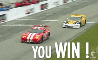 Race Cars Win GIF by Mecanicus