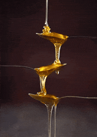 honey satisfying GIF honey satisfying GIF