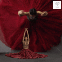 200.gif?cid=fc005b080c025fe3d0eb68083eca9e5c2cd434de44958150&rid=200.gif&ct=g