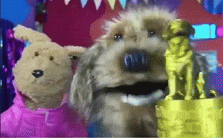 Premio GIF by LIBERUM