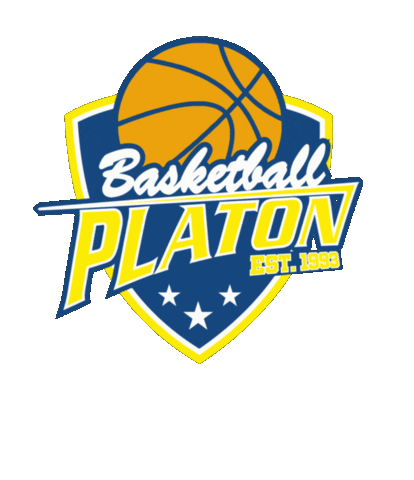 Sport Basketball Sticker by Platon BC