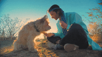 Happy Dogs GIF by Bay Ledges