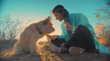 Happy Dogs GIF by Bay Ledges