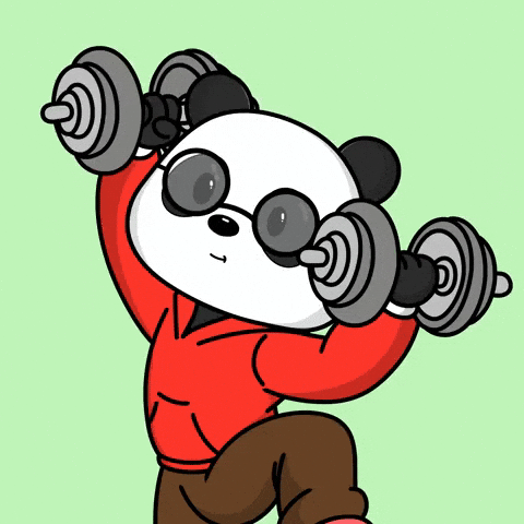 Fitness Panda GIF by Pandu Pandas