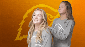 Stepbrothers GIF by Carson-Newman Athletics