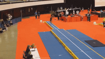 mito sport #gymnastics #tricking GIF