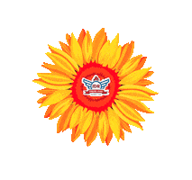 Denizard Rivail Sticker