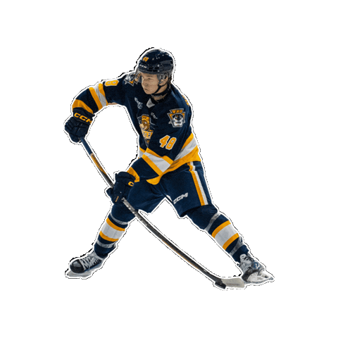 Hockey Ohl Sticker by OttersHockey