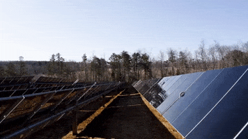 BantamCommunications virginia solarenergy cleanenergy solarpanels GIF