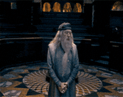 harry potter GIF