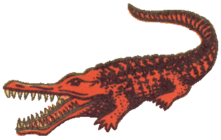Tšungel Sticker