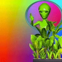Los Angeles Love GIF by MUTANT MAGIC Los Angeles Love GIF by MUTANT MAGIC