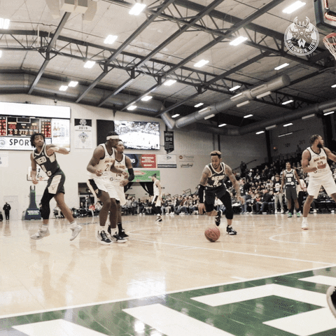 Lets Go Basketball GIF by Wisconsin Herd