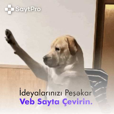 Saytpro GIF