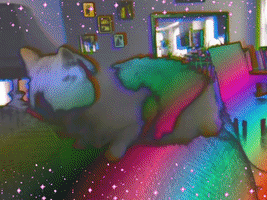 Cat Tripping GIF