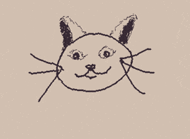 Cat GIF