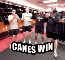 Carolina Hurricanes Nhl GIF