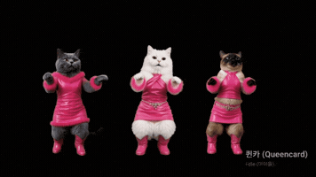 코리아 댄스 스토리 GIF