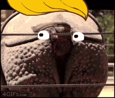 Orange Poop GIF