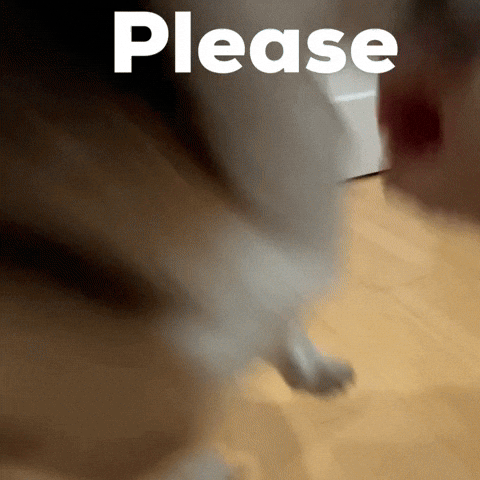 Dog Please GIF