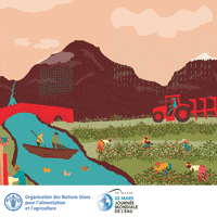 United Nations Water GIF by FAO