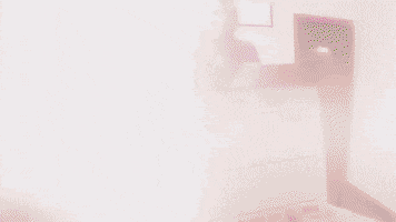 paulovalentim  GIF