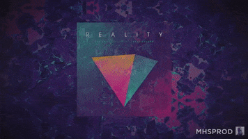 reality GIF by Bro Safari